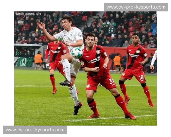 地中海的烈焰与郁金香的突袭：那不勒斯对阵阿尔克马尔，谁能主宰欧罗巴的狂想曲？